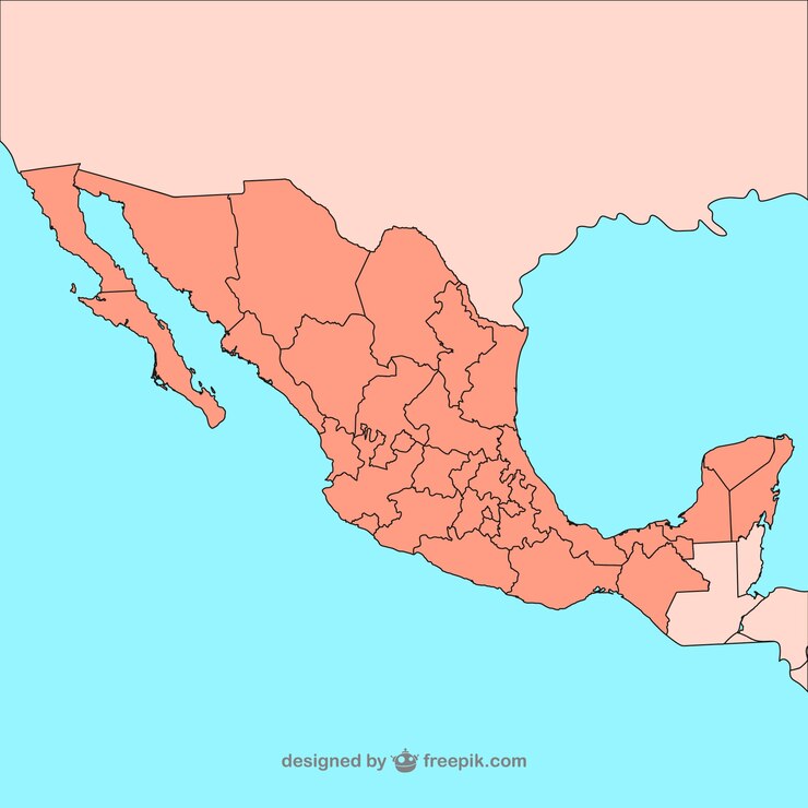 El Impacto del Origen del Café en el Sabor: Un Viaje por México y sus Regiones Productoras