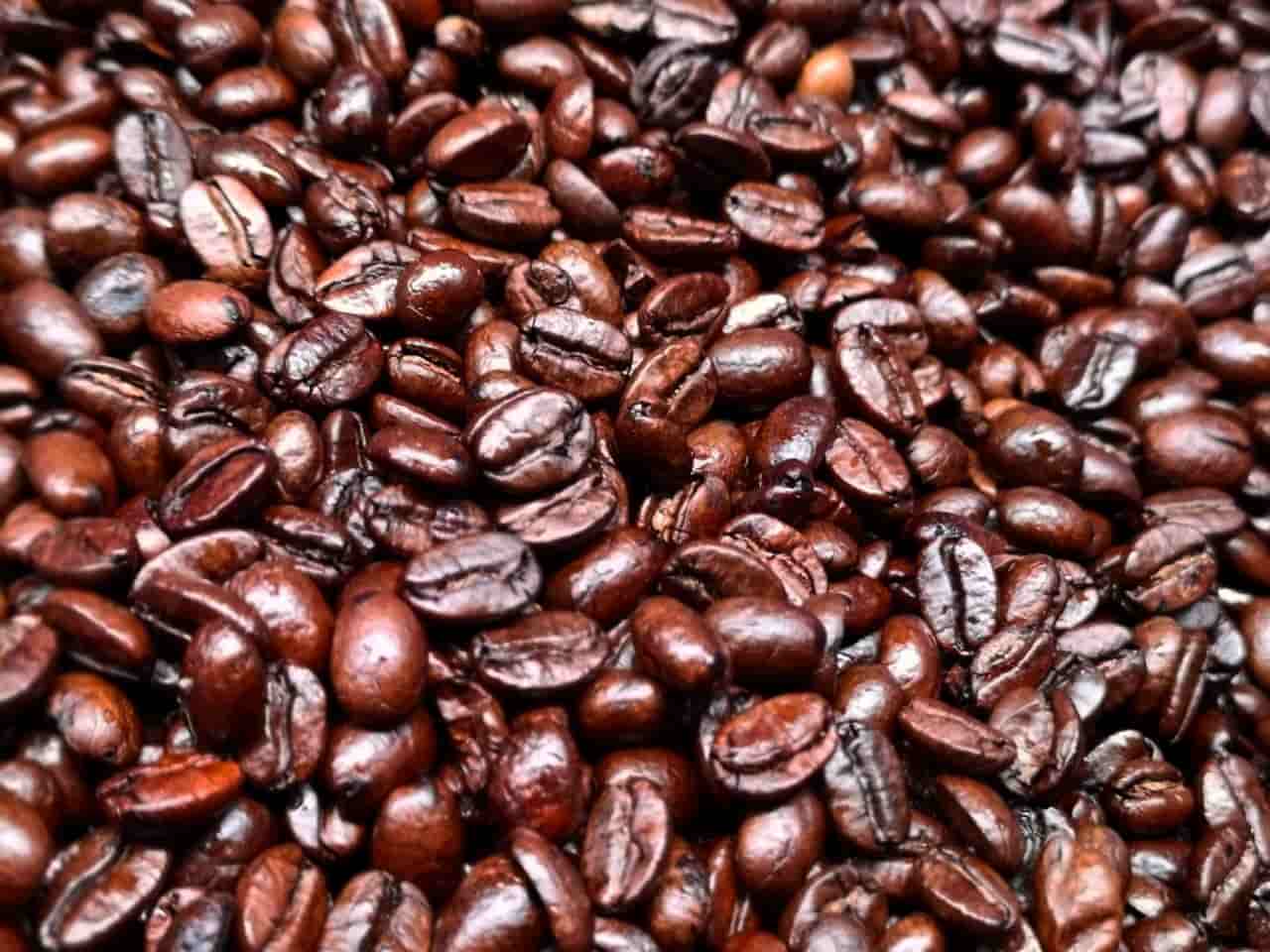 ¿Qué tiene de malo el café oscuro? | GAS UP! MASTER COFFEE