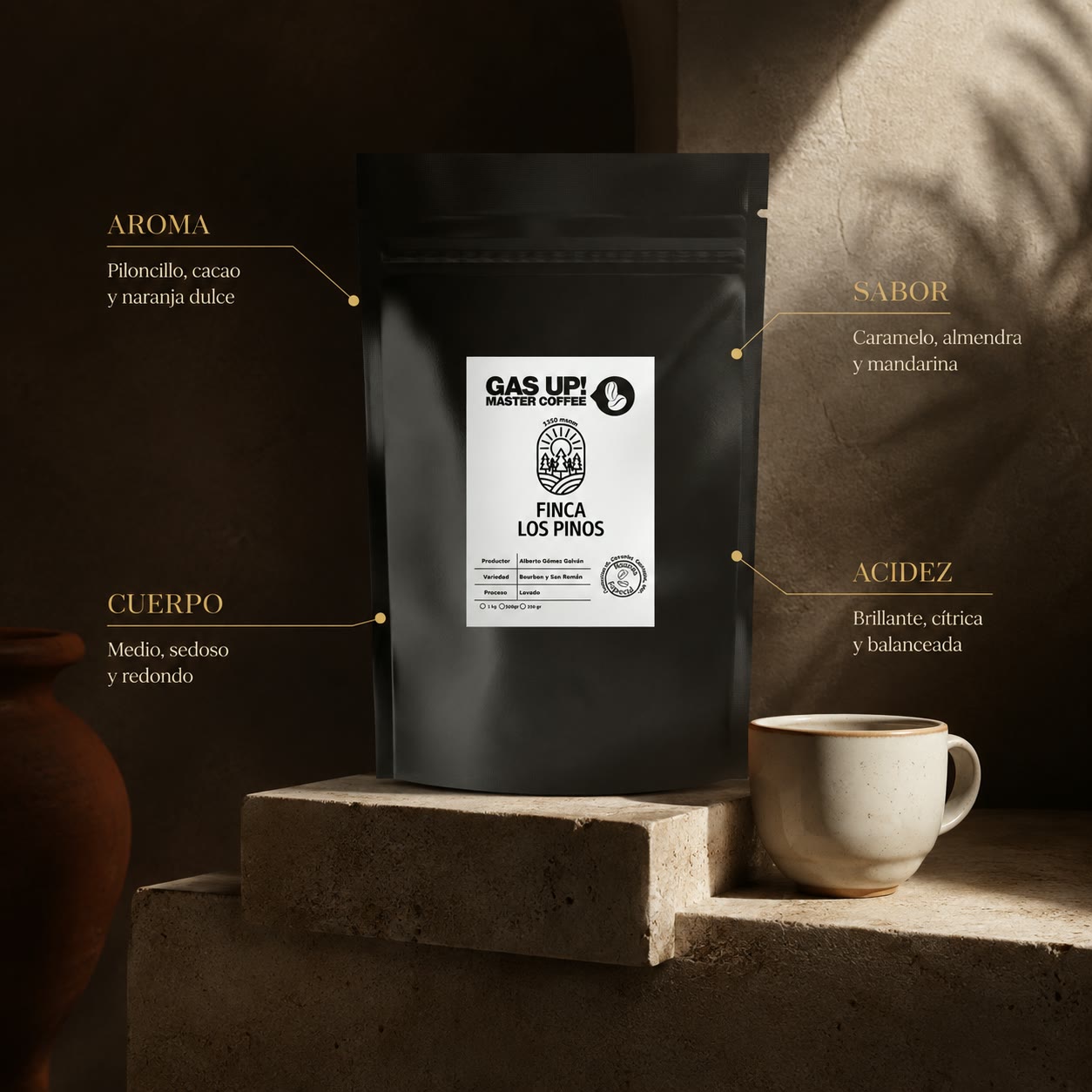 Café Lavado – Finca Los Pinos, Coatepec Veracruz