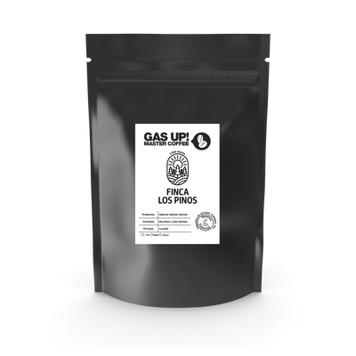Café Lavado – Finca Los Pinos, Coatepec Veracruz - GAS UP! MASTER COFFEE