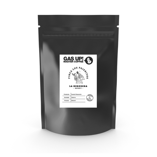 Café de Nayarit Finca Pajaritos | Edición Especial - Caturra Natural - GAS UP! MASTER COFFEE