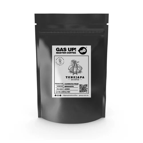MARAGO DE CHIAPAS EDICIÓN ESPECIAL - GAS UP! | CAFÉ DE ESPECIALIDAD CON PERFIL ÚNICO - GAS UP! MASTER COFFEE