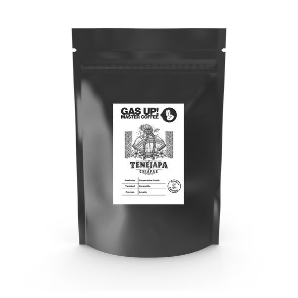 Caracol de Chiapas Edición Especial - Proceso Lavado - GAS UP! MASTER COFFEE